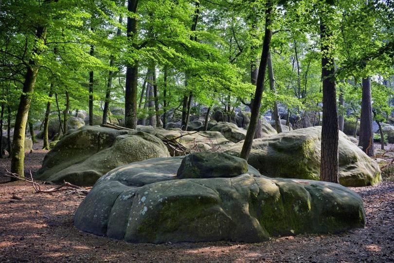 Maison De Charme En Foret De Fontainebleau Recloses Экстерьер фото